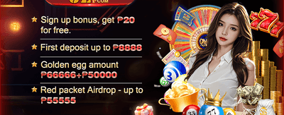 VIP Rebate Program promotion
